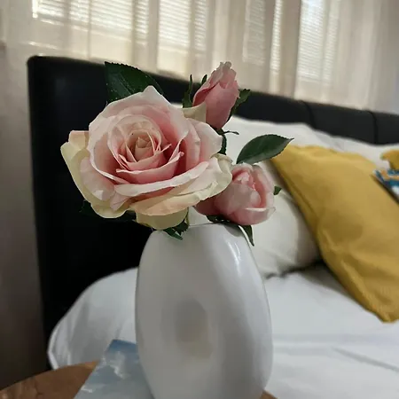 Apartamento Pure Belle Loft - Center Free Parking *