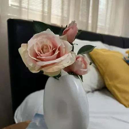 Apartamento Pure Belle Loft - Center Free Parking Skopie